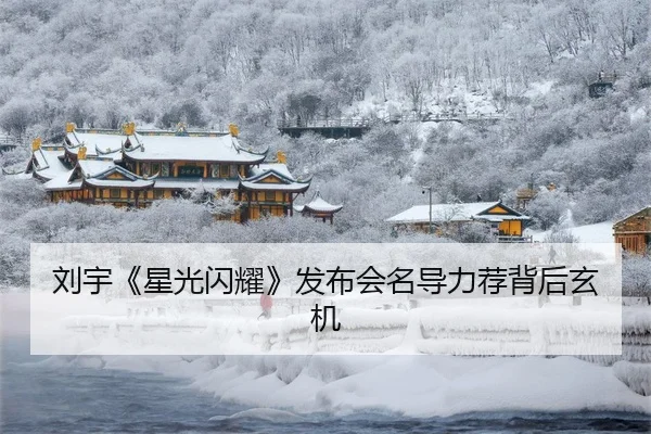 刘宇《星光闪耀》发布会名导力荐背后玄机